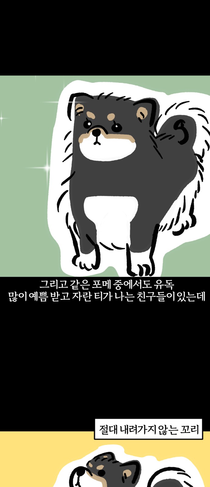 12 페이지
