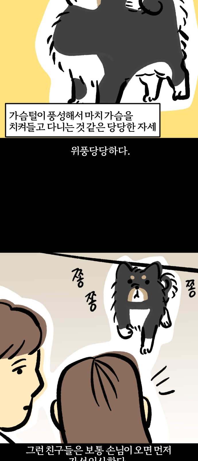 13 페이지
