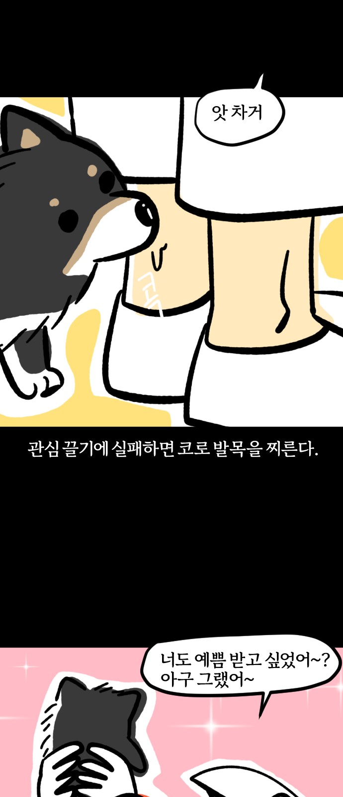 19 페이지