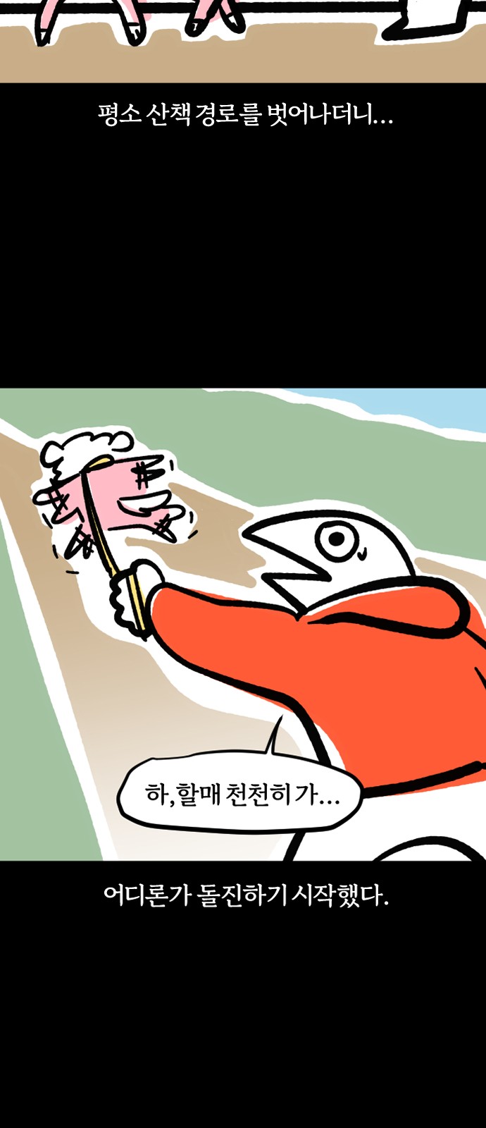 11 페이지