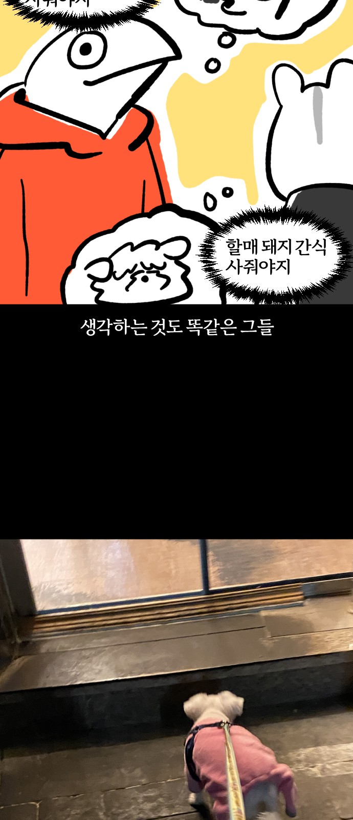 19 페이지