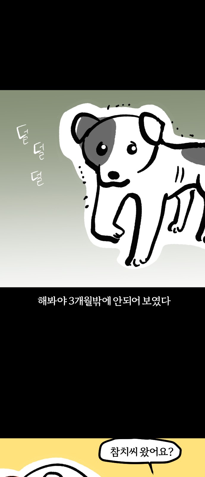 5 페이지
