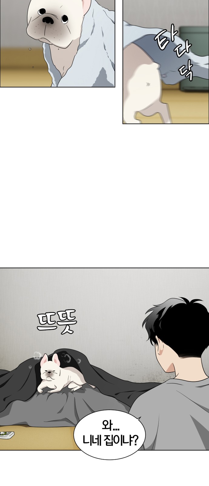169 페이지