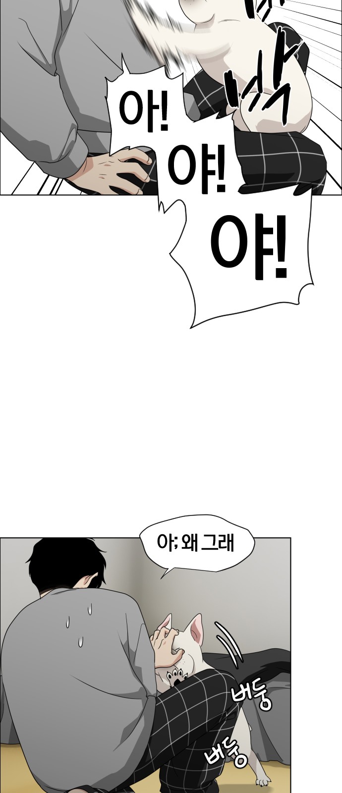 177 페이지