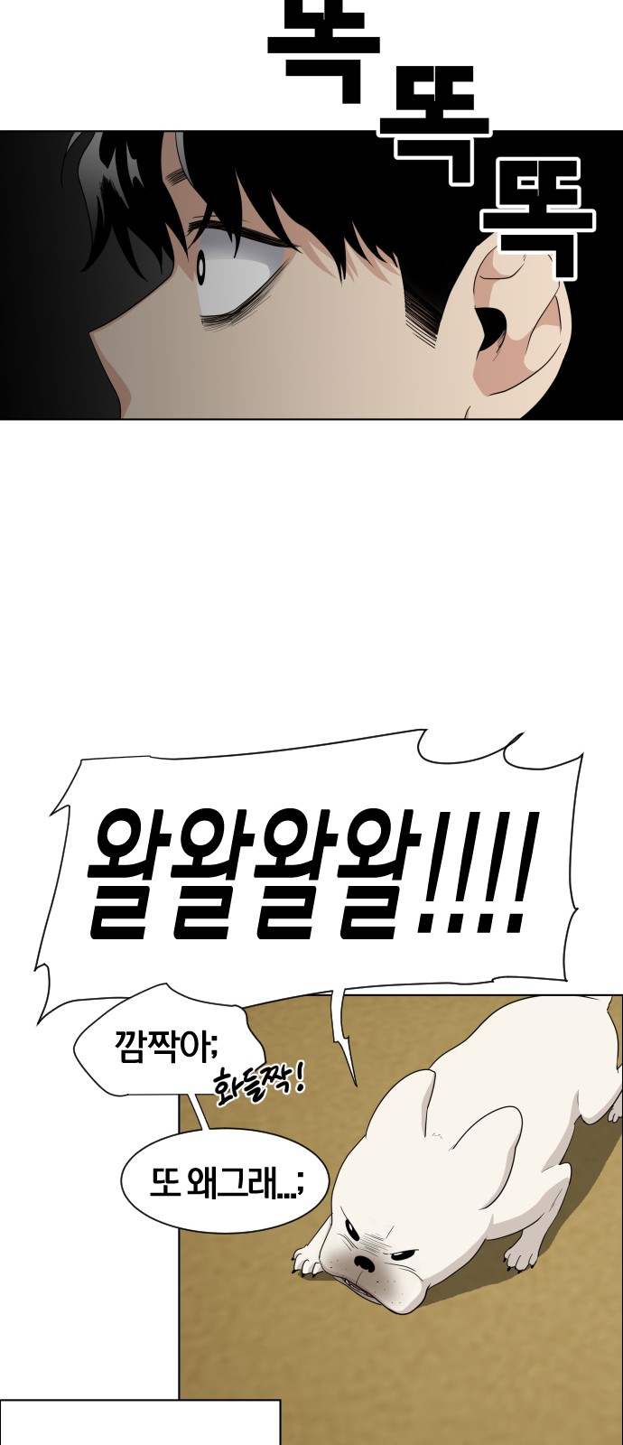 181 페이지