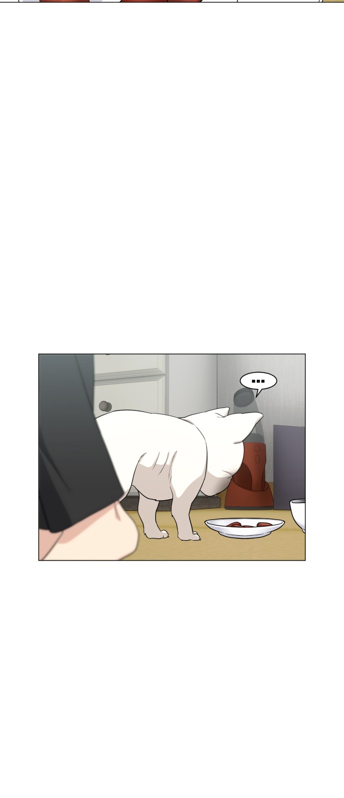 141 페이지