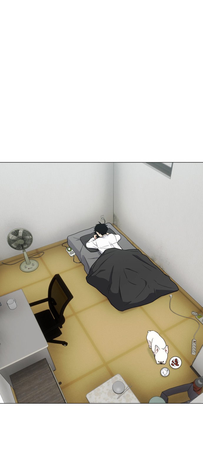 144 페이지