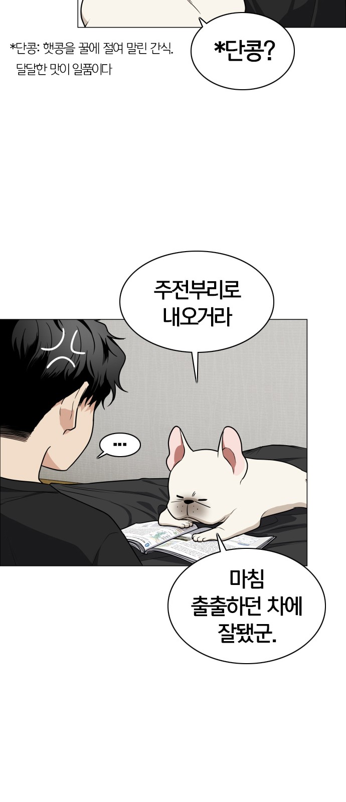 68 페이지