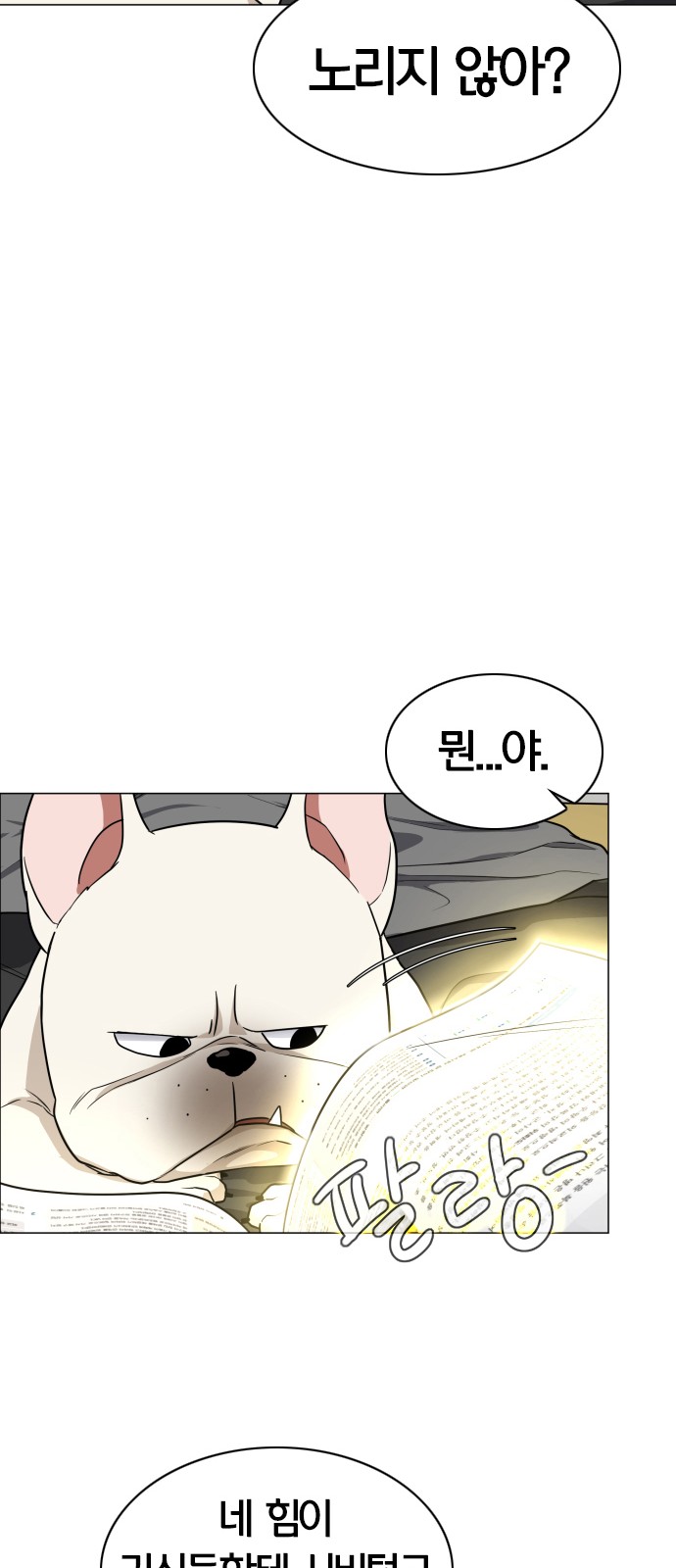 71 페이지