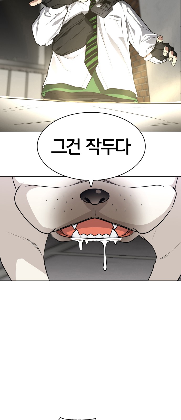 43 페이지