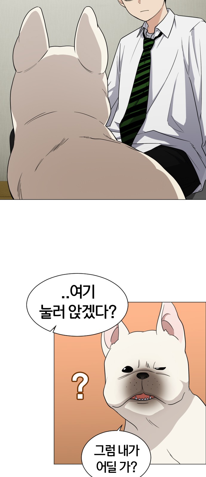 43 페이지