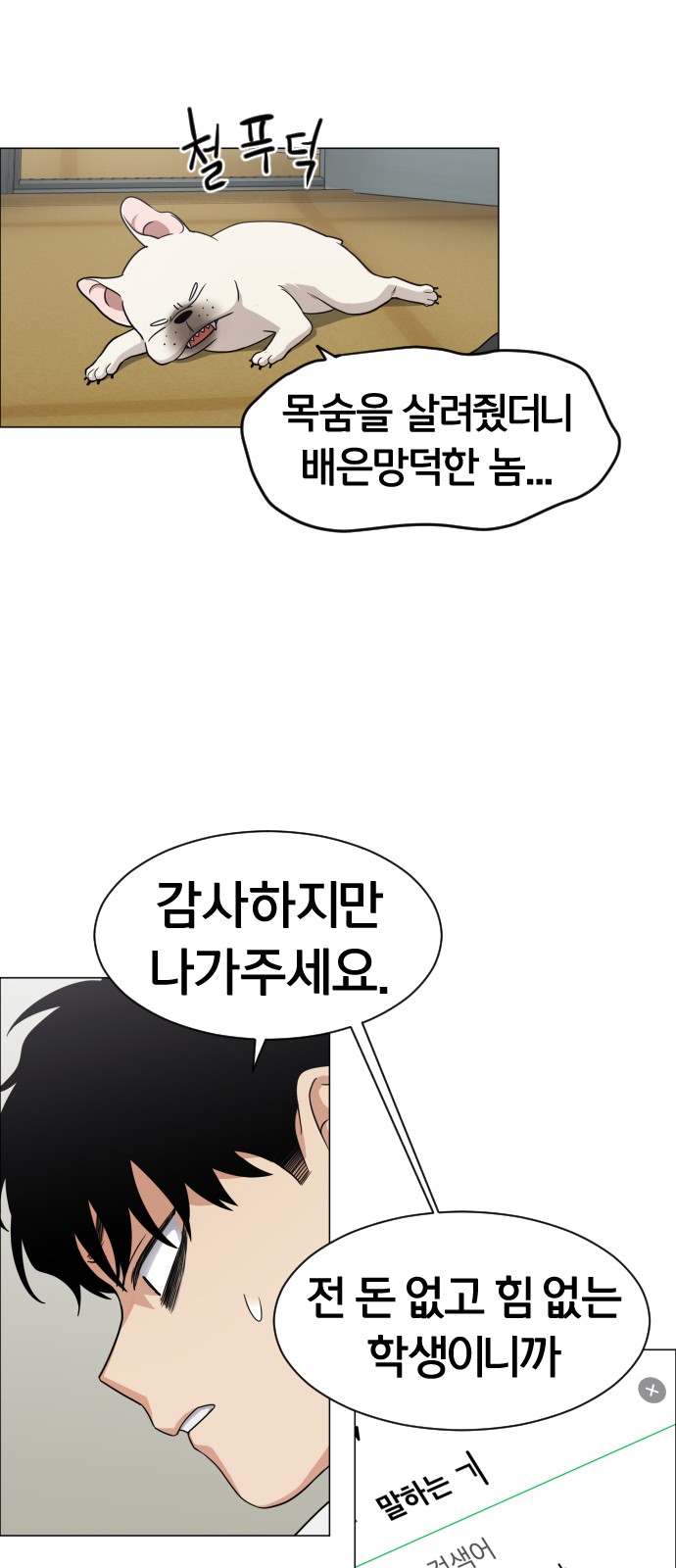 45 페이지