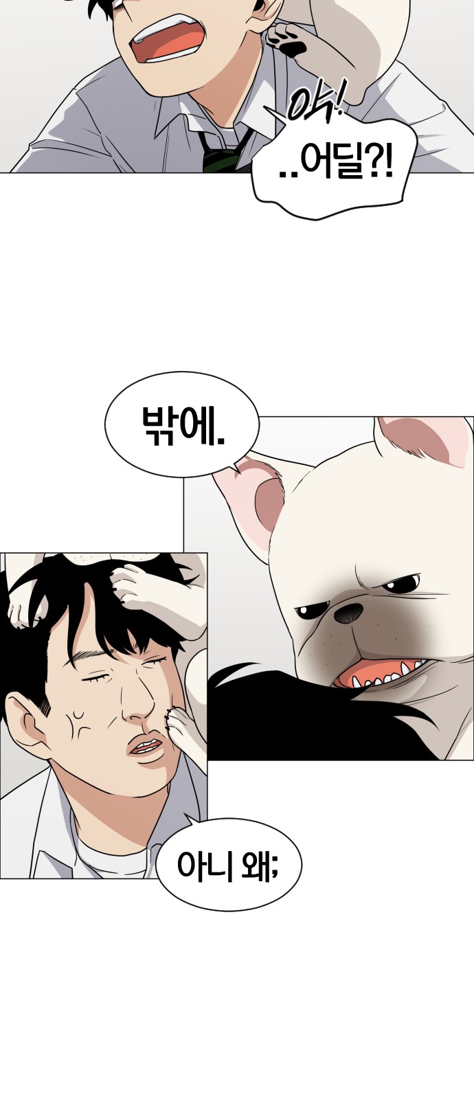54 페이지