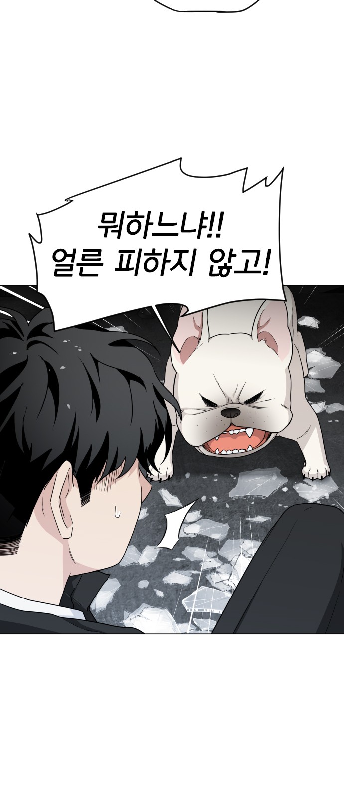 77 페이지