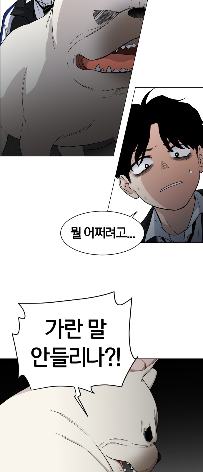 80 페이지