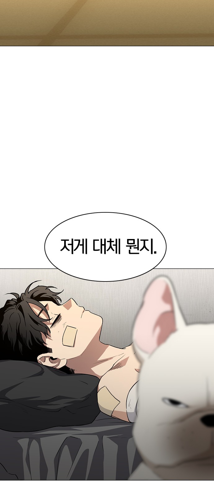 80 페이지