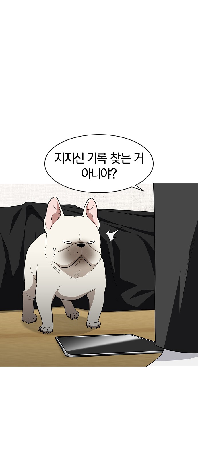 40 페이지