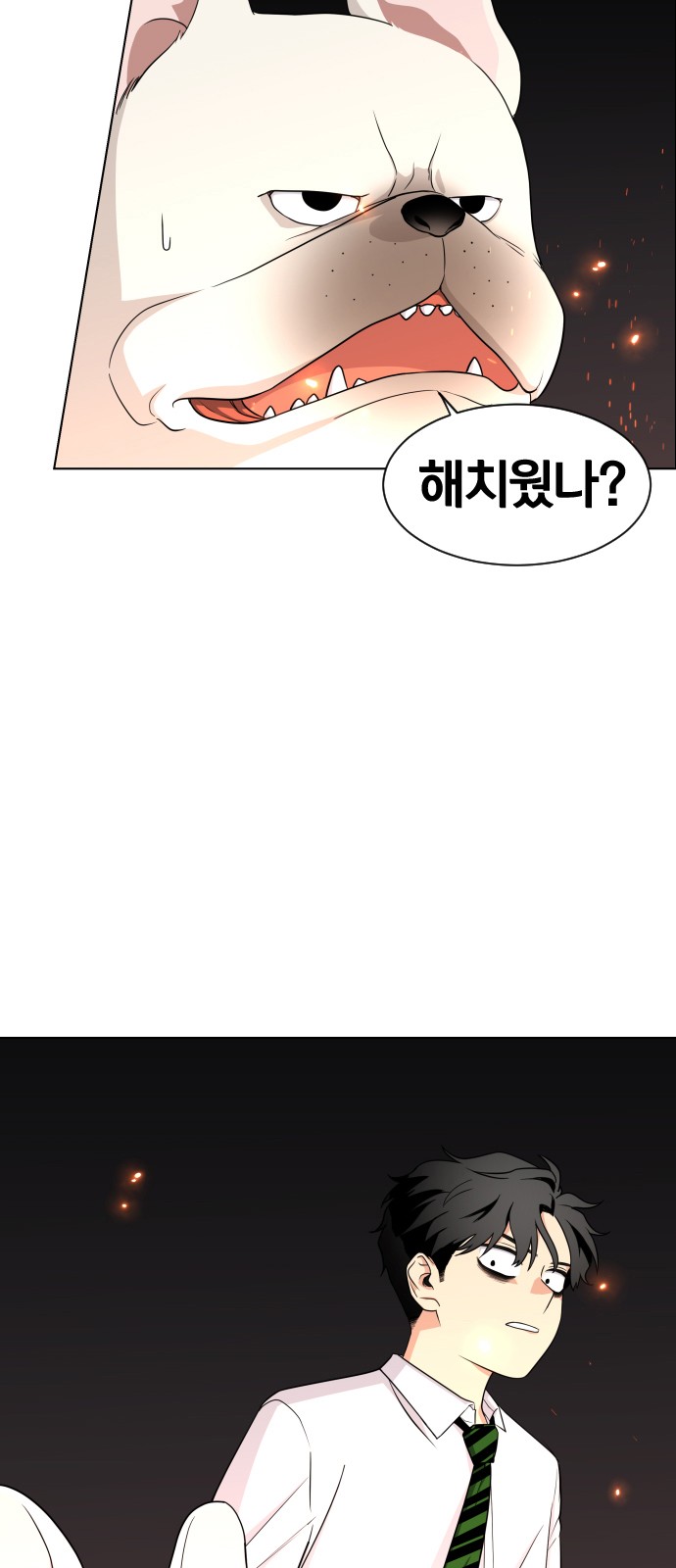11 페이지