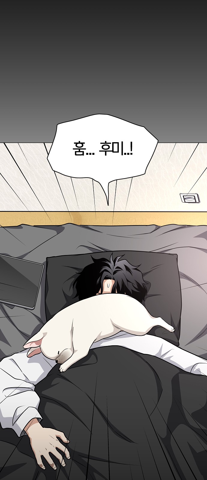 12 페이지