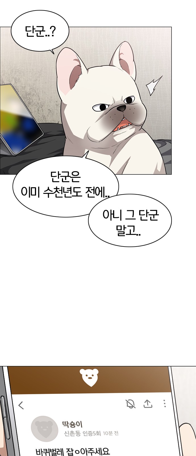 19 페이지