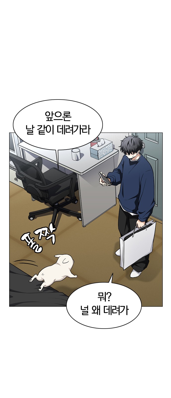 13 페이지