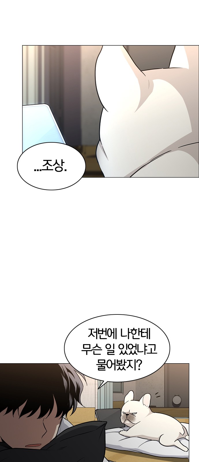 19 페이지