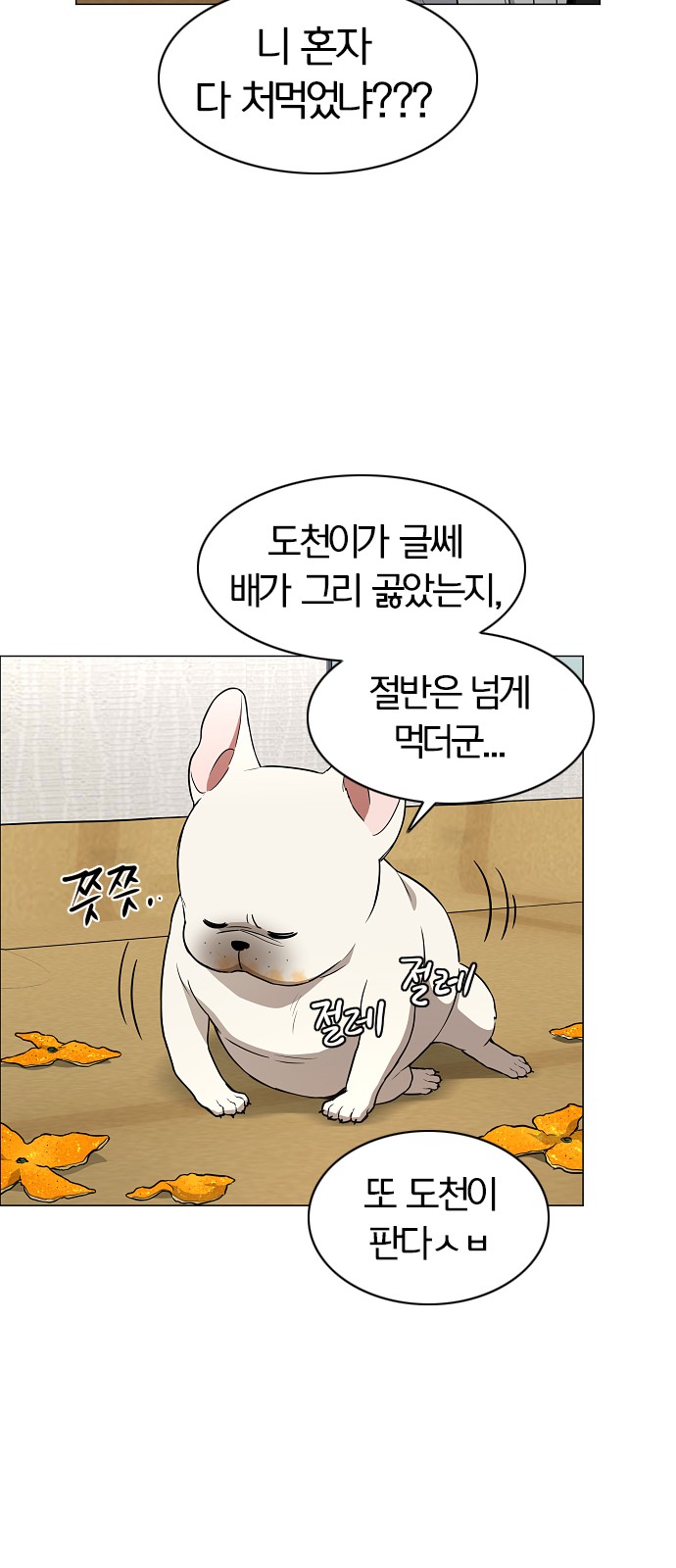 33 페이지