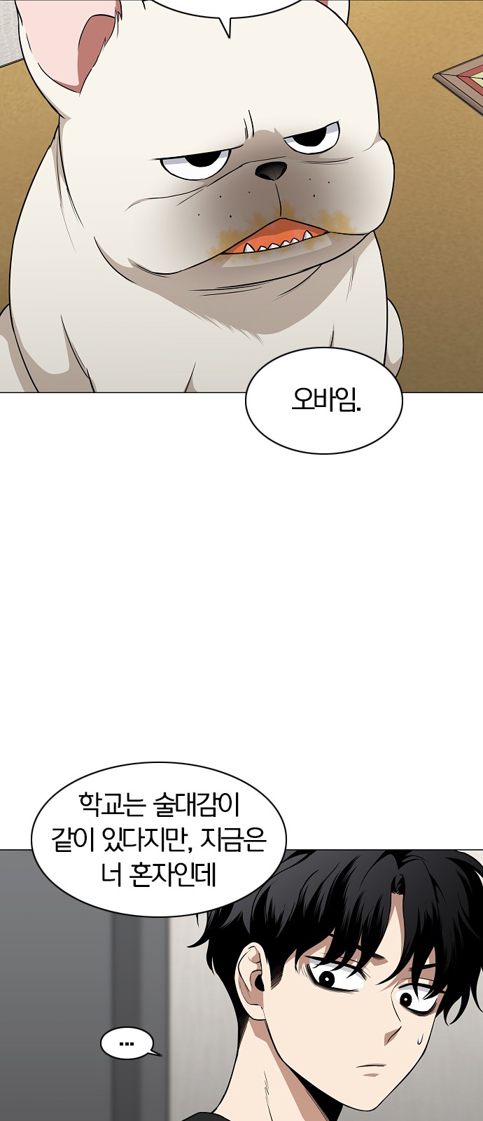 41 페이지