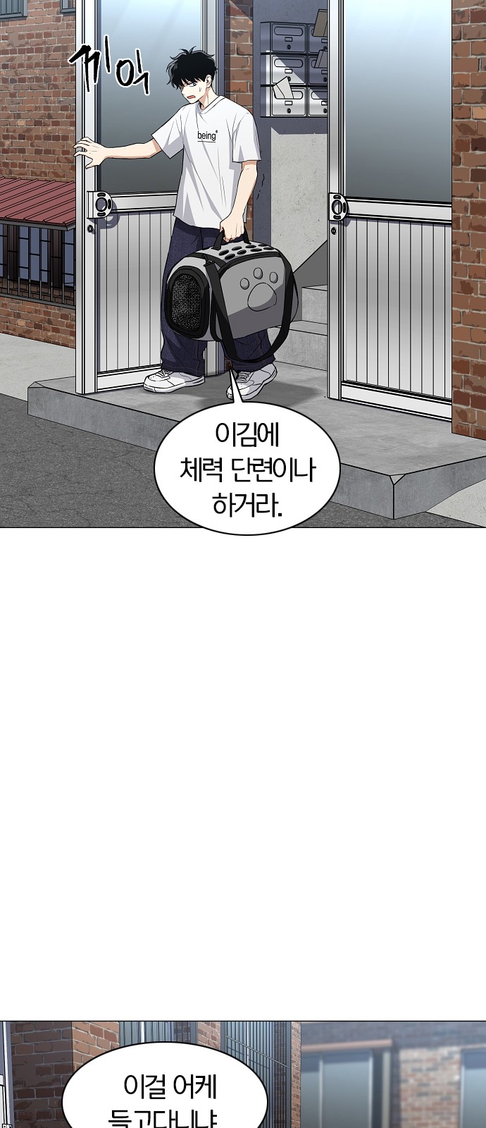 71 페이지