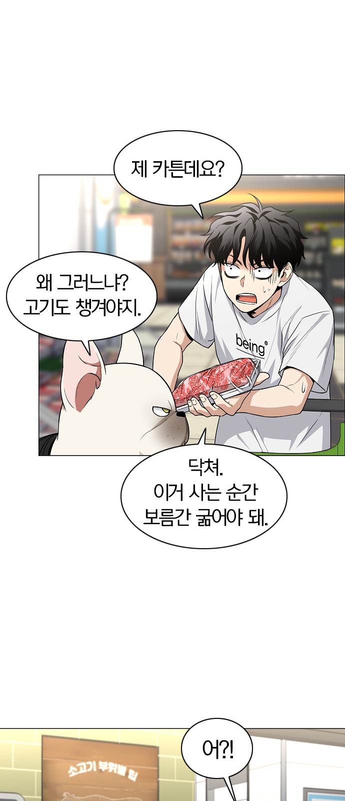 40 페이지