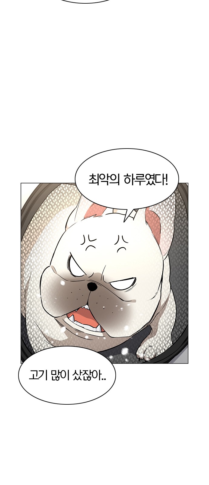 35 페이지