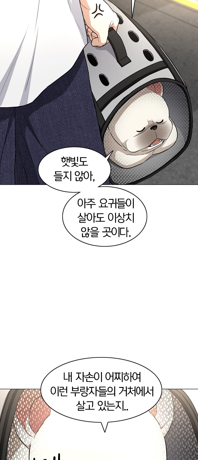 45 페이지