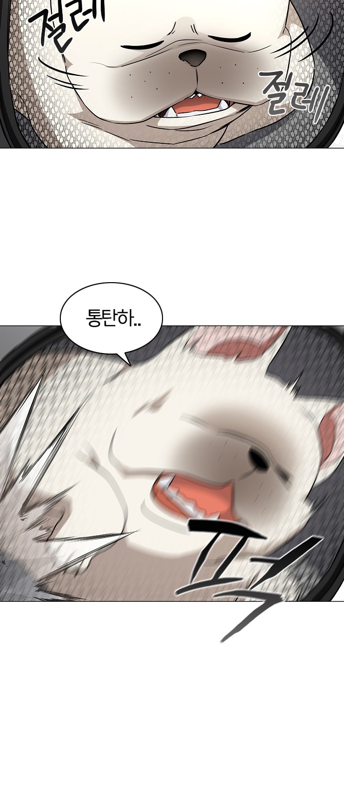 46 페이지