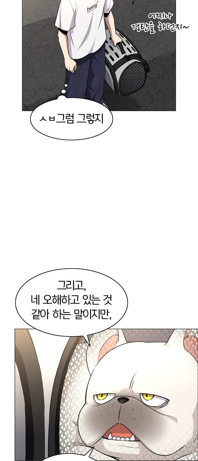 57 페이지
