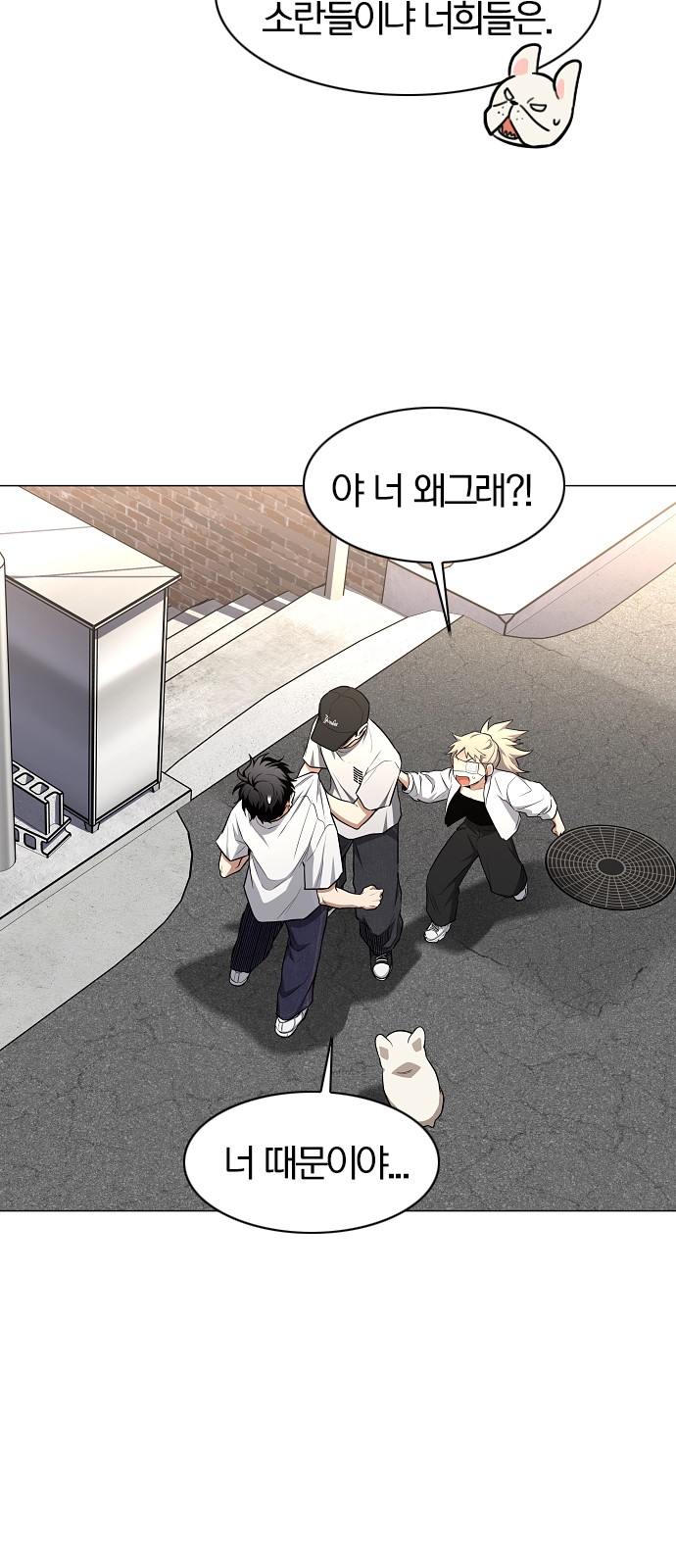 15 페이지