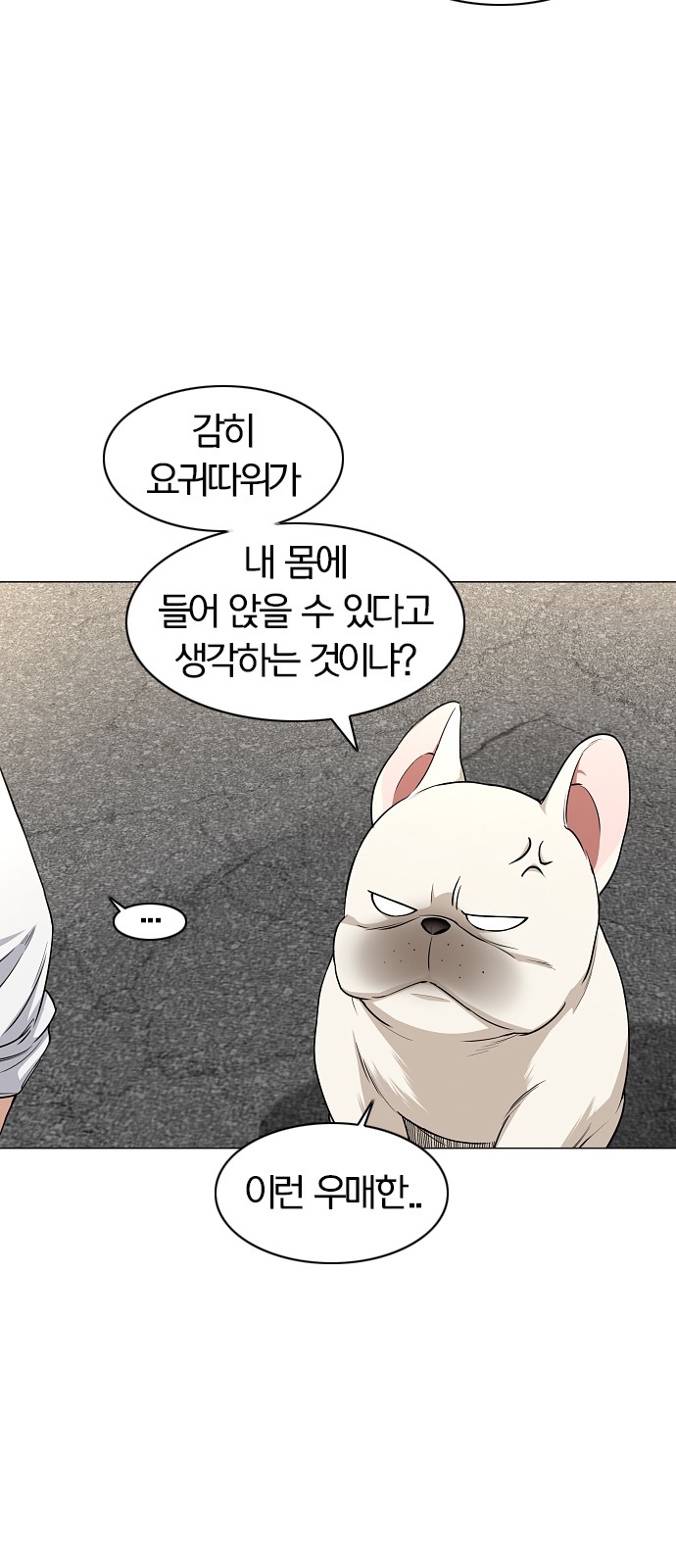 21 페이지