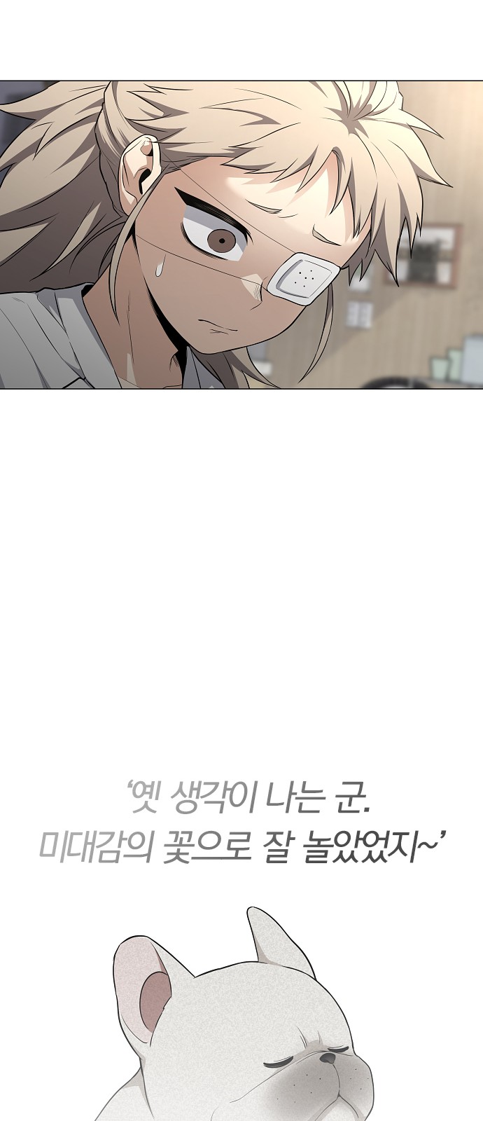 44 페이지