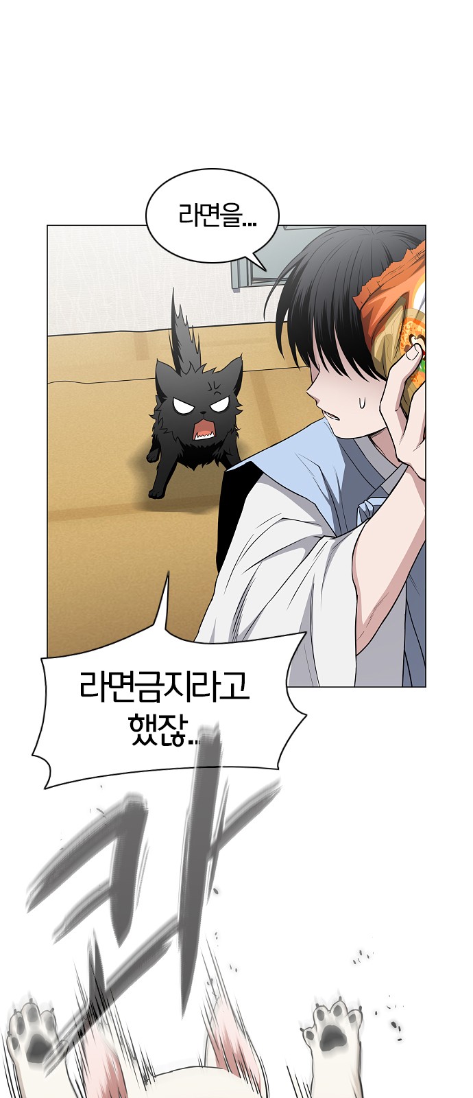 11 페이지