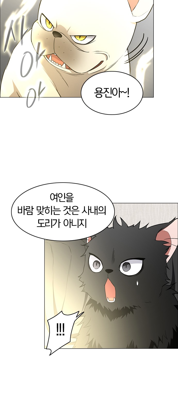 34 페이지