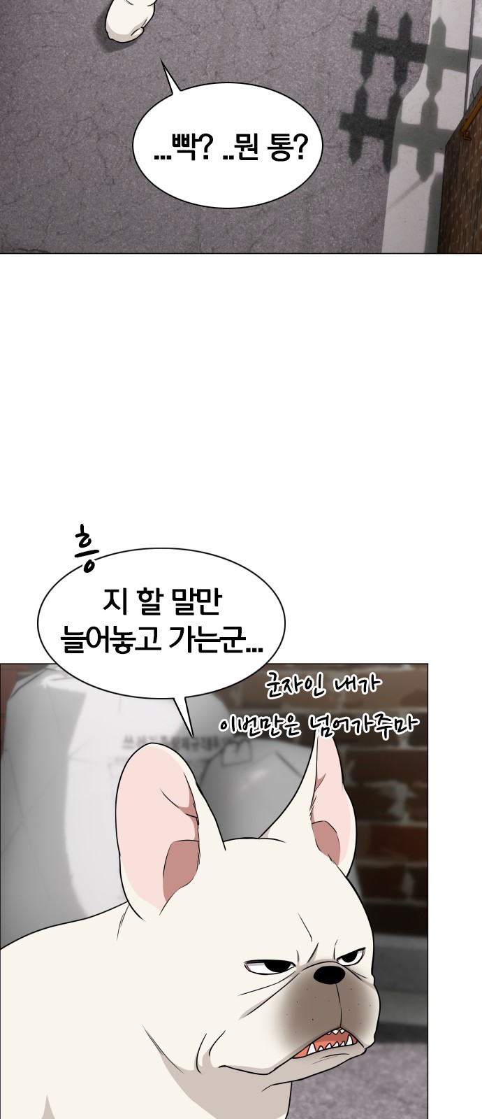 42 페이지