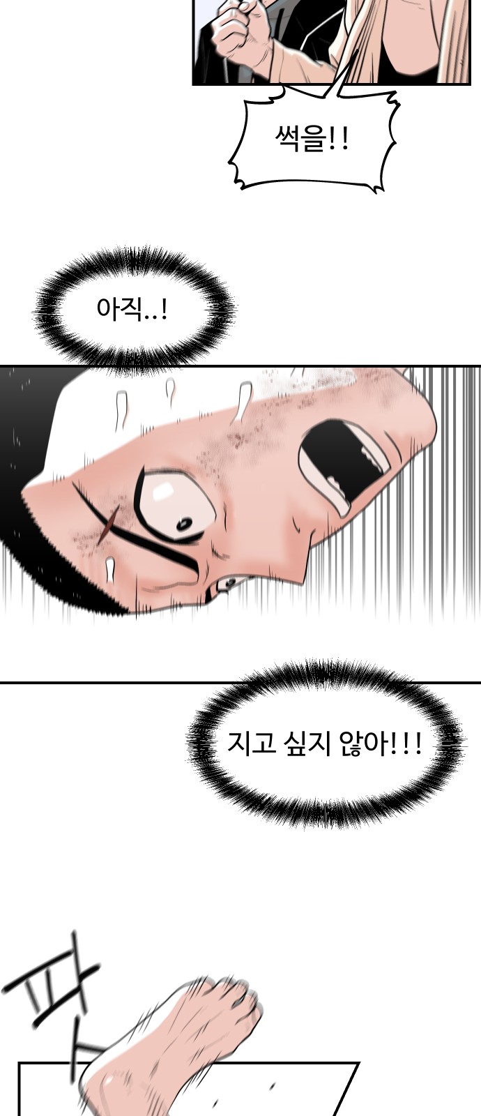 33 페이지