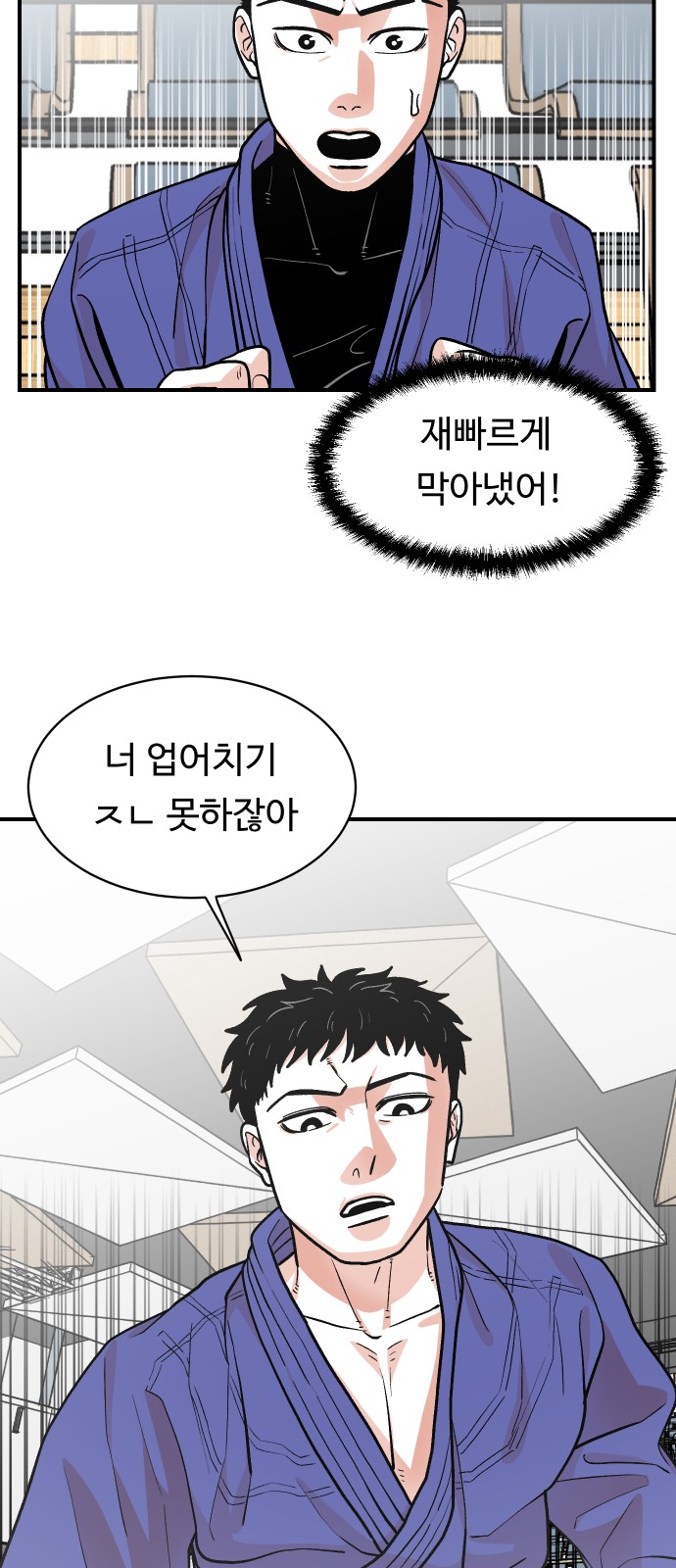 46 페이지