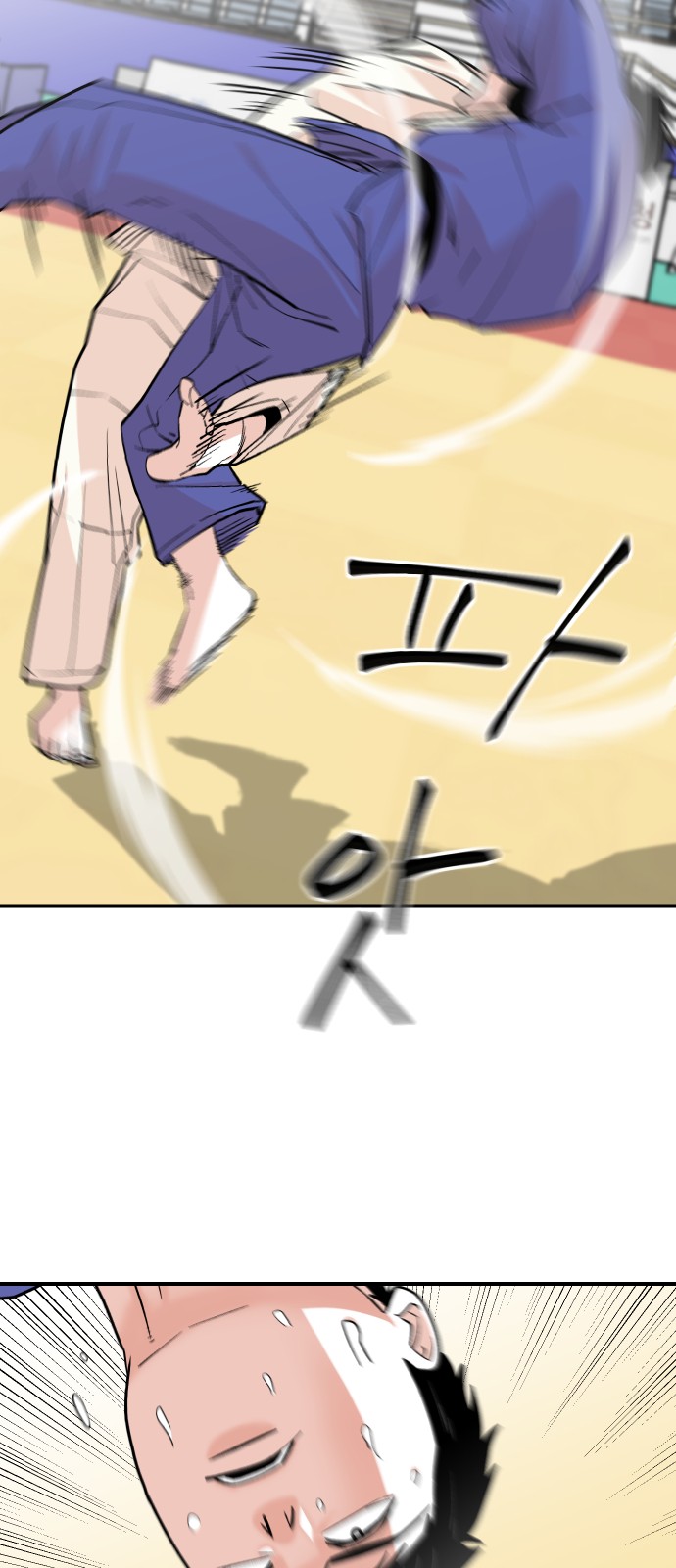 66 페이지