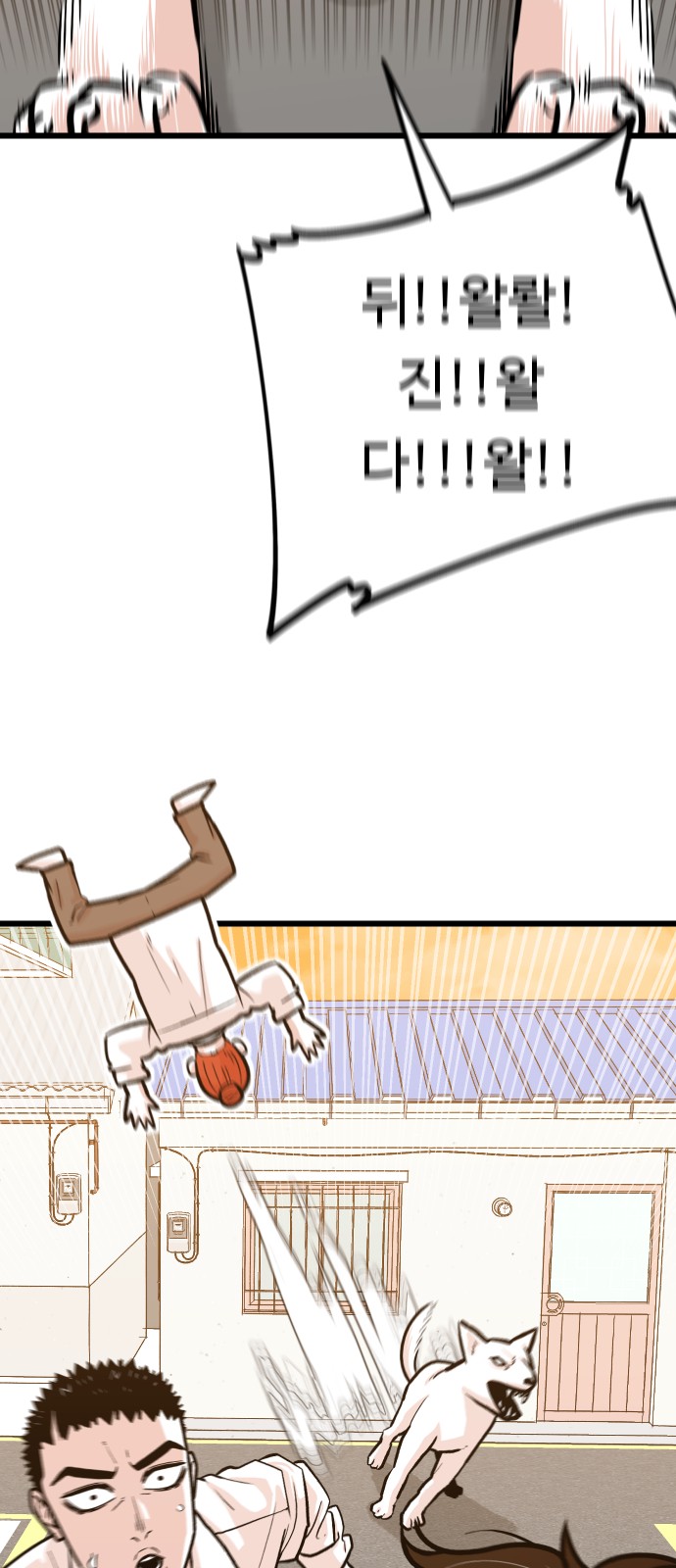 43 페이지