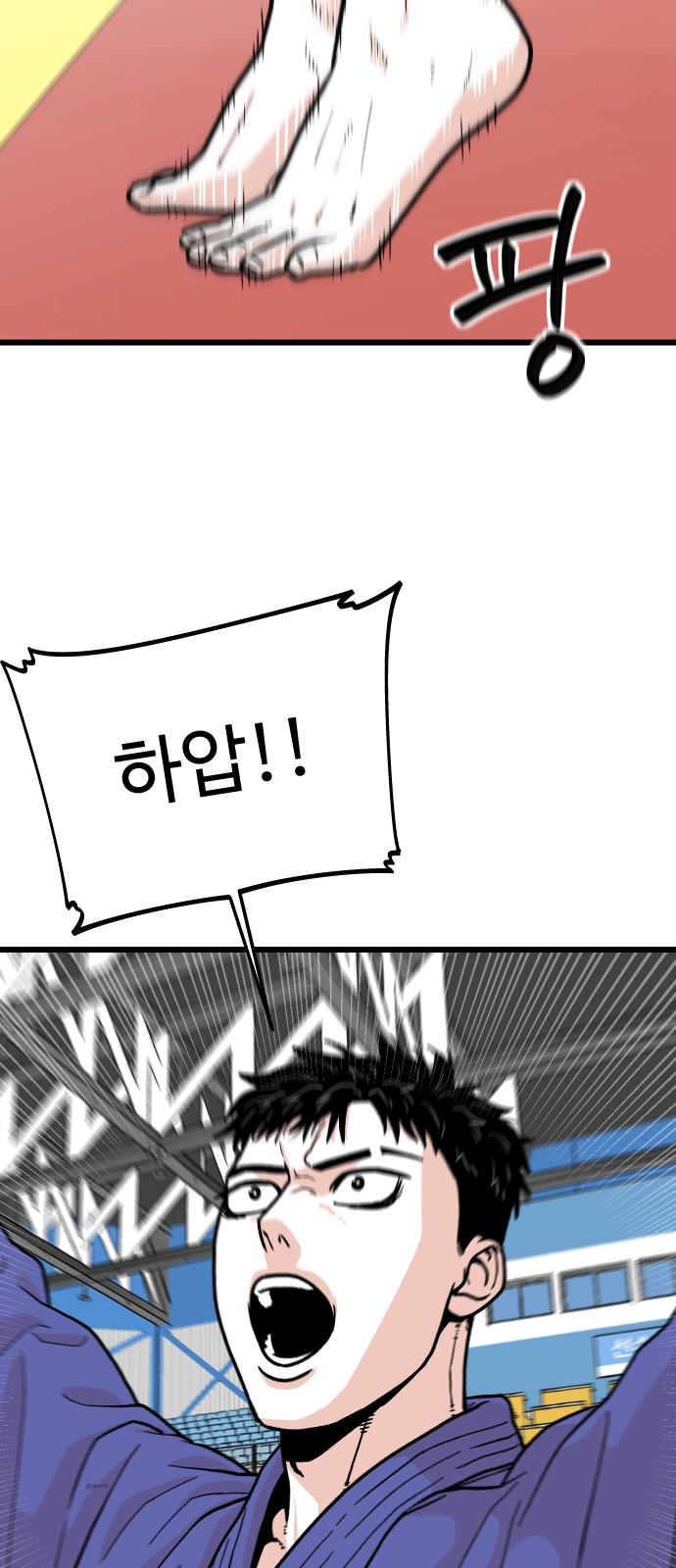 46 페이지