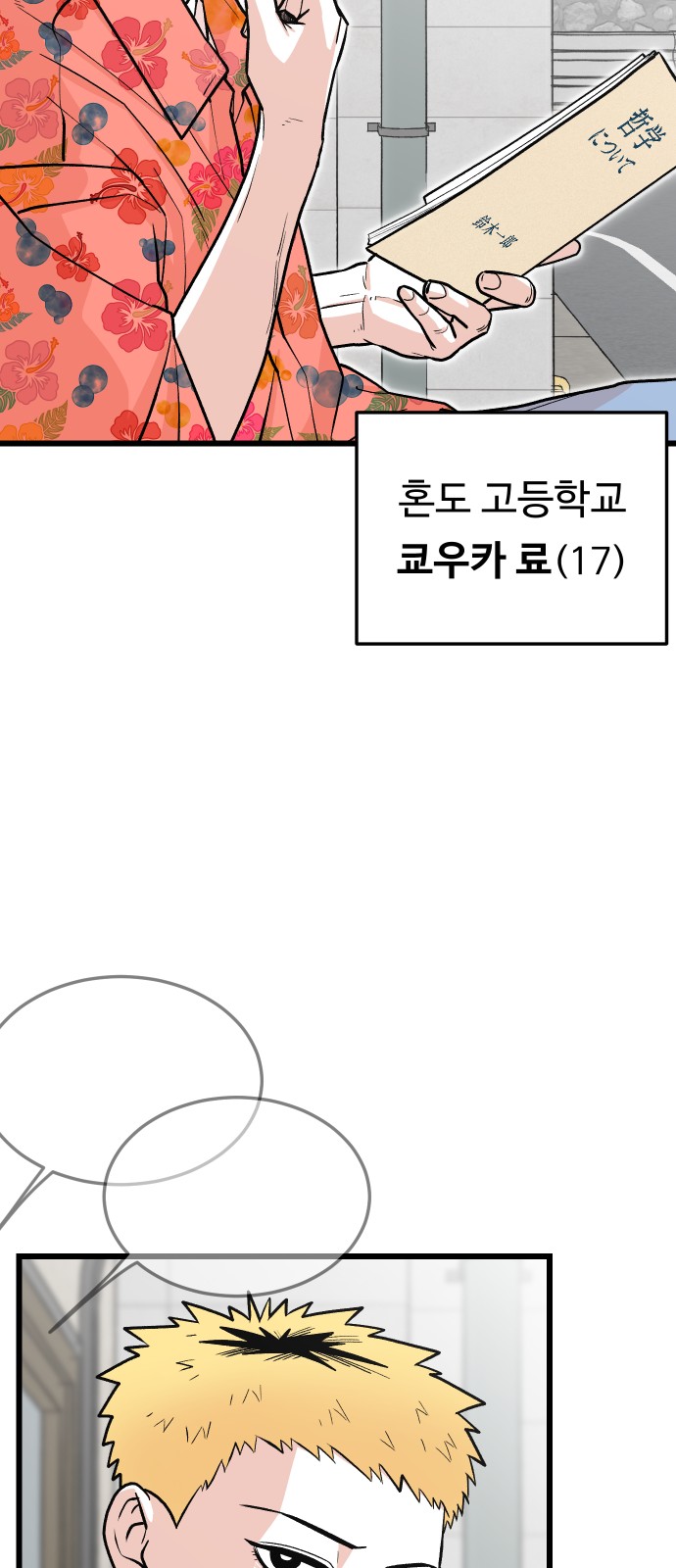 66 페이지