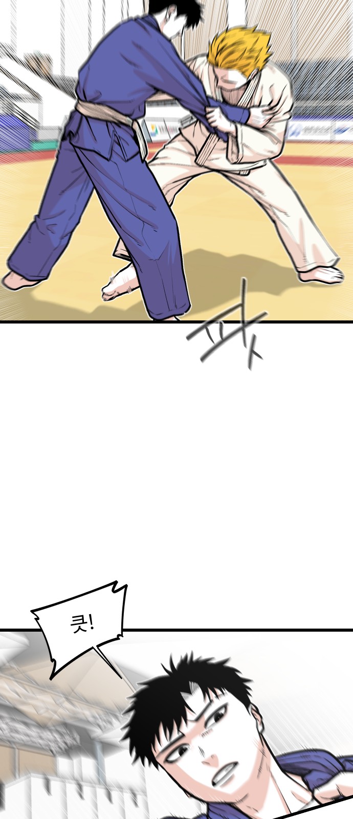 46 페이지