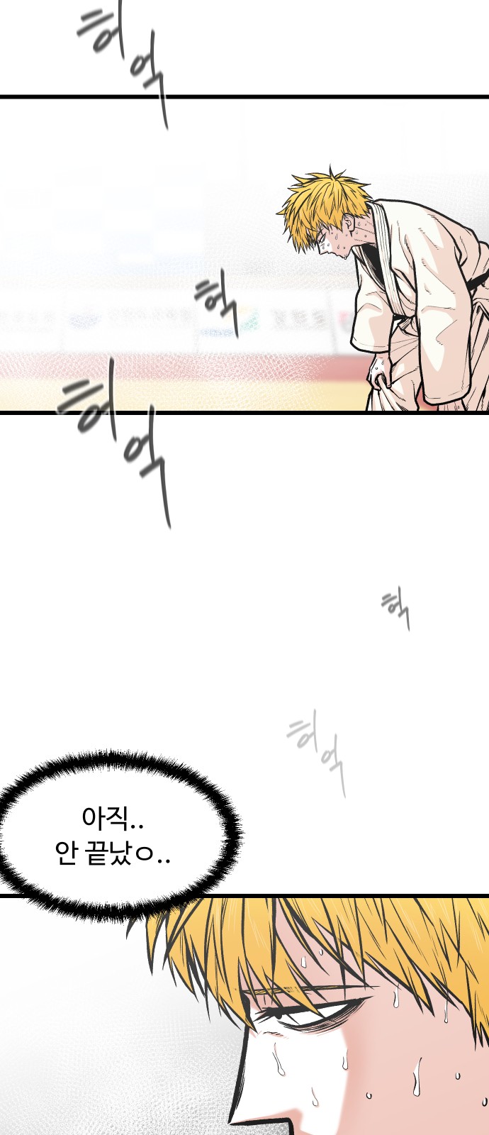 43 페이지