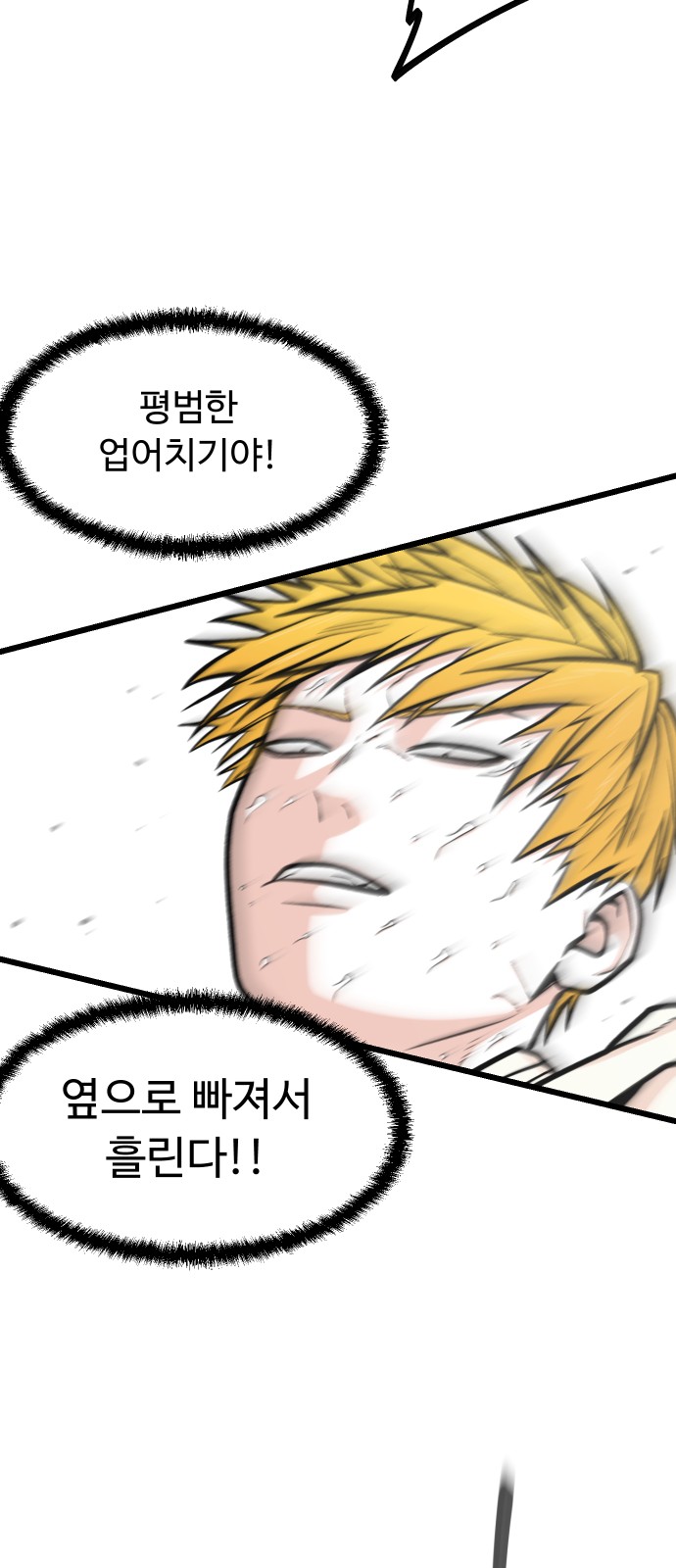 48 페이지