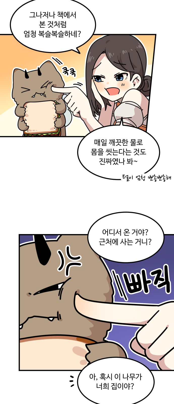 13 페이지